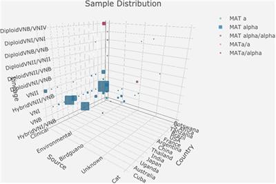 Mitochondrial Genome Polymorphisms in the Human Pathogenic Fungus Cryptococcus neoformans